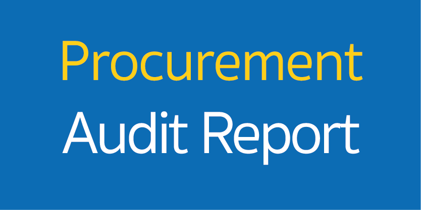 Procurement Audit Report