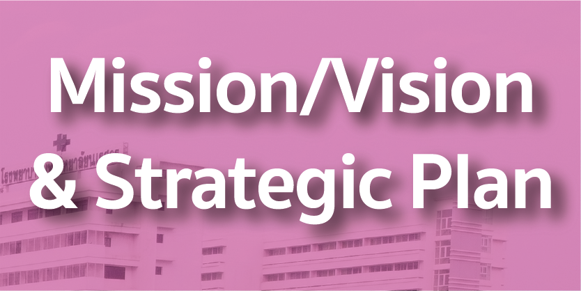 Mission/Vision & Strategic Plan